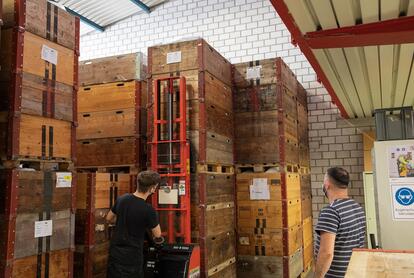 Logistik